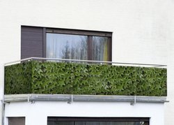 Osłona balkonowa z motywem dzikiego wina - 500 x 85 cm