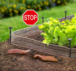 Płotek na ślimaki, miedziany odstraszacz ślimaków, WENKO