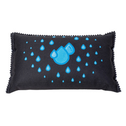 Pochłaniacz wilgoci do samochodu 1 kg, WENKO